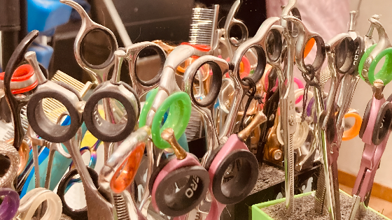 Gros plan sur des ciseaux de précision en atelier de production, illustrant l’importance de l’outillage, de l’organisation et du management dans l’optimisation des performances industrielles avec Bestlead.